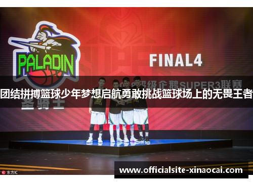 团结拼搏篮球少年梦想启航勇敢挑战篮球场上的无畏王者