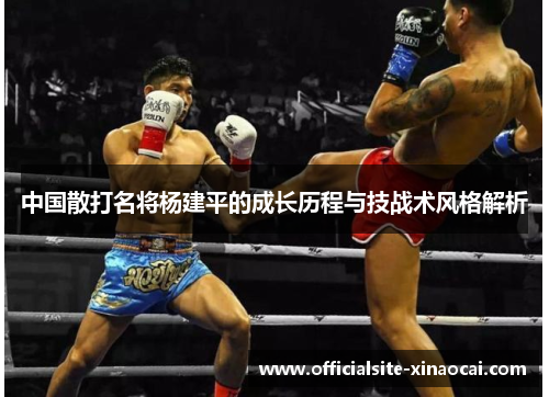 中国散打名将杨建平的成长历程与技战术风格解析