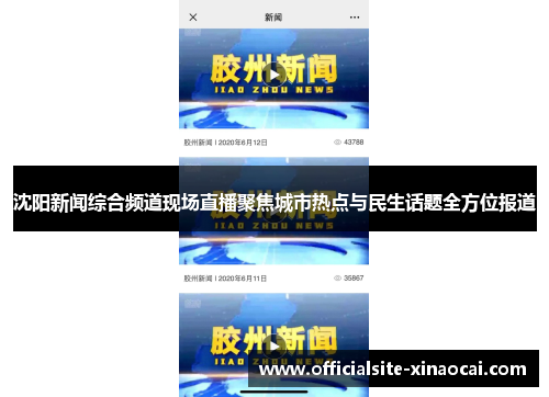 沈阳新闻综合频道现场直播聚焦城市热点与民生话题全方位报道