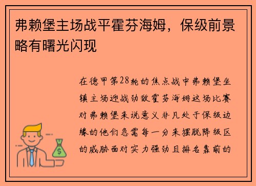 弗赖堡主场战平霍芬海姆，保级前景略有曙光闪现